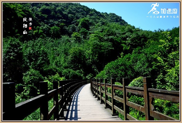 成都周邊適合徒步的團建地方：鳳棲山